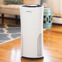 QuietPure Home+ Smoke Air Purifier with HEPA Filters to Remove Smoke  Allergens  Dust  Pet Dander  Mold Spores  Viruses  Odors and VOCs. - B076JJXXJN